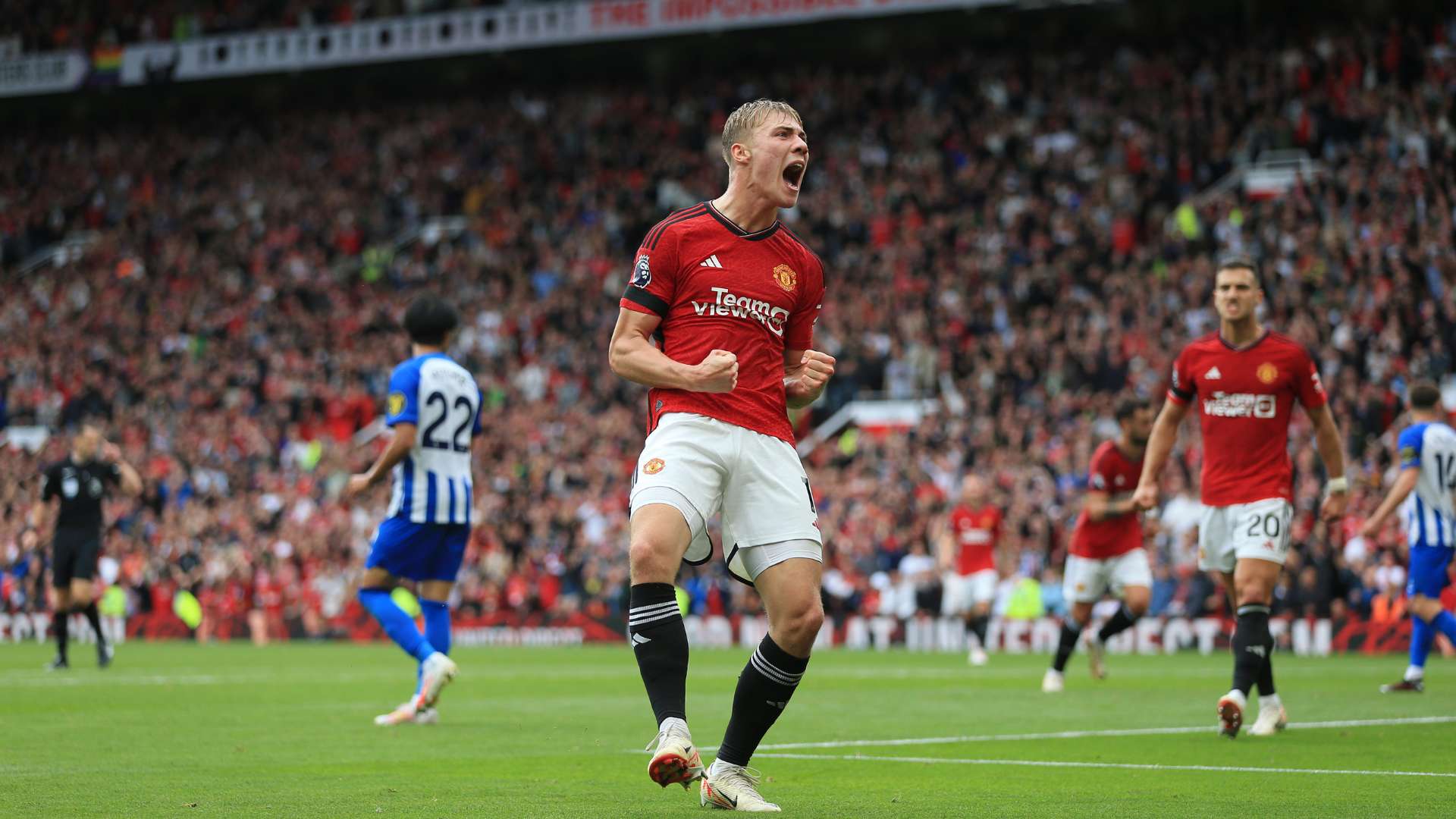 但若结合数 但若结合数